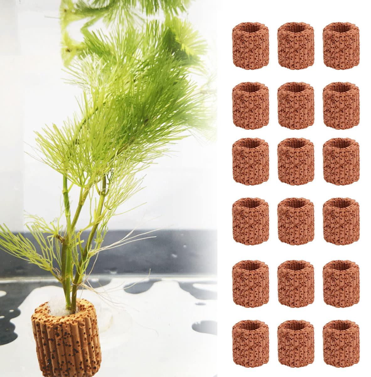 Marine Aquarium Aquascape - 10/20Pcs Aquatic Water Plant Fixed Ring