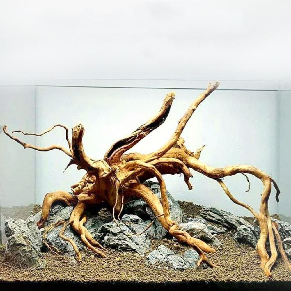 Marine Aquarium Aquascape - Natural Tree Trunk Aquarium Decoration Wood