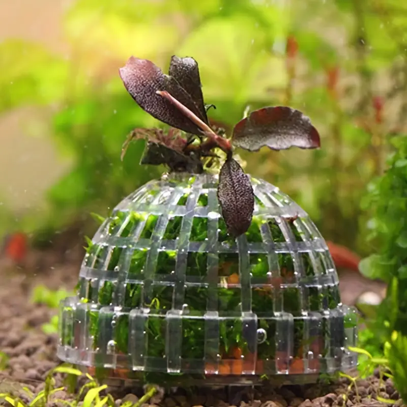 Plastic Aquarium Moss Ball Fil - Marine Aquarium Aquascape avis et prix