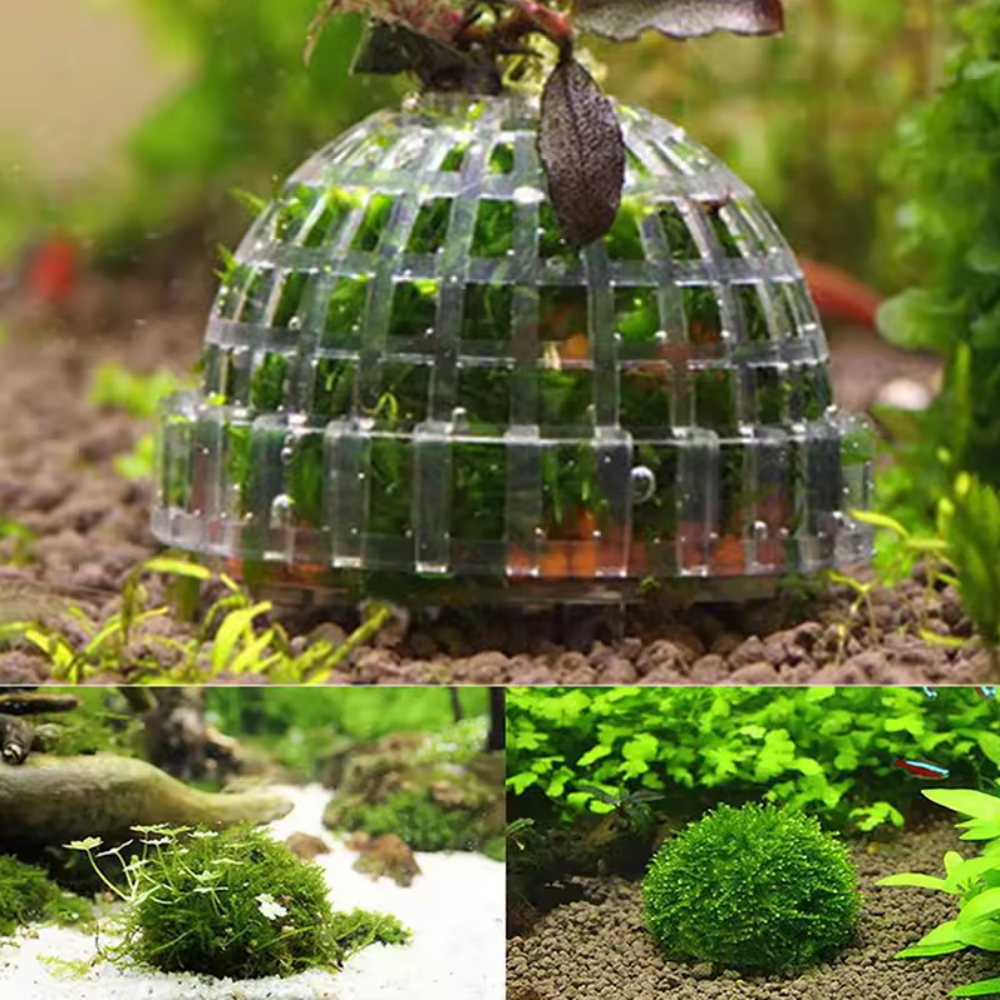 Plastic Aquarium Moss Ball Fil - Marine Aquarium Aquascape avis et prix