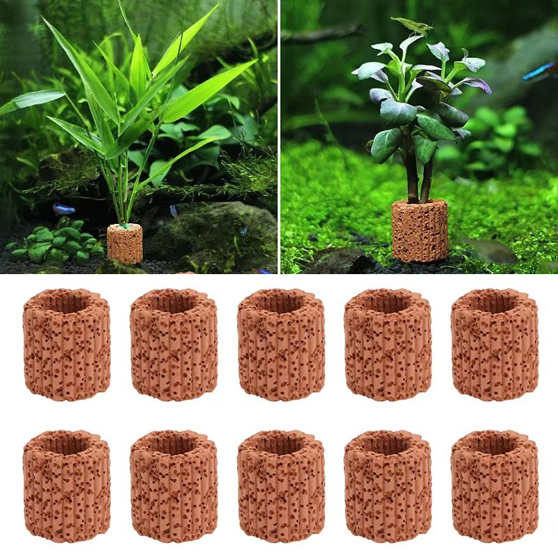 Aquatic Plant Fixed Ring for A - Marine Aquarium Aquascape avis et prix