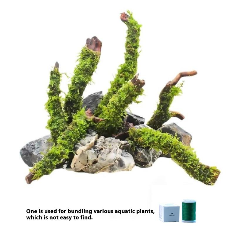 200M Naturally Degradable Moss - Marine Aquarium Aquascape avis et prix