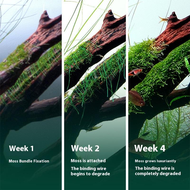 200M Naturally Degradable Moss - Marine Aquarium Aquascape avis et prix