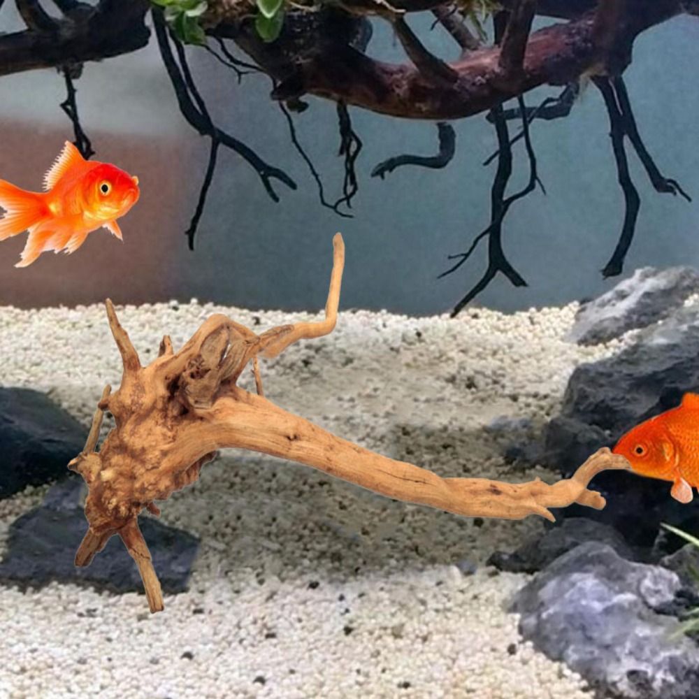 Natural Tree Trunk Aquarium De - Marine Aquarium Aquascape avis et prix