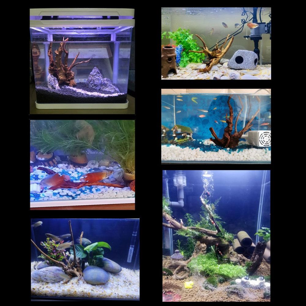 Natural Tree Trunk Aquarium De - Marine Aquarium Aquascape avis et prix