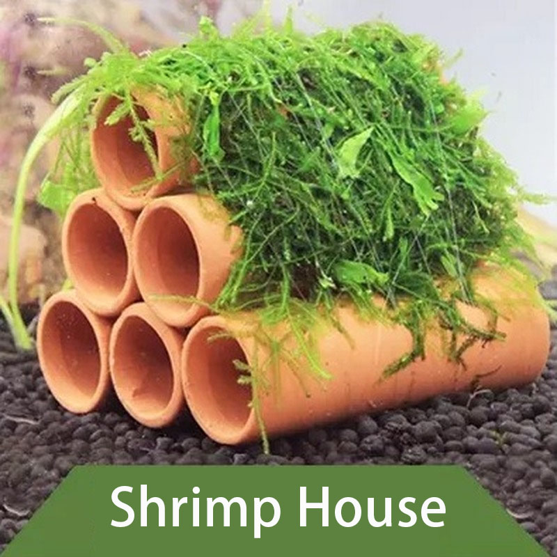 Clay Aquarium Decoration Fish  - Marine Aquarium Aquascape avis et prix