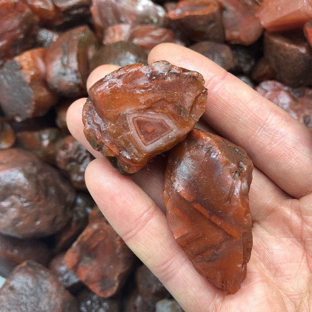 1pc Random Rough Raw Carnelian - Marine Aquarium Aquascape avis et prix