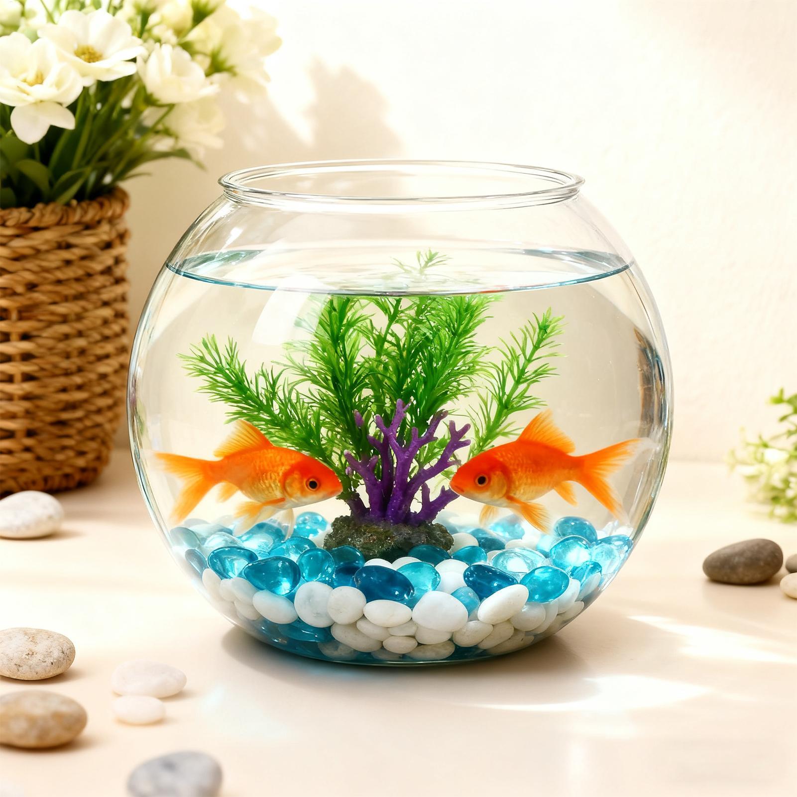 Bubble Bowl Space-Saving Aquar - Marine Aquarium Aquascape avis et prix