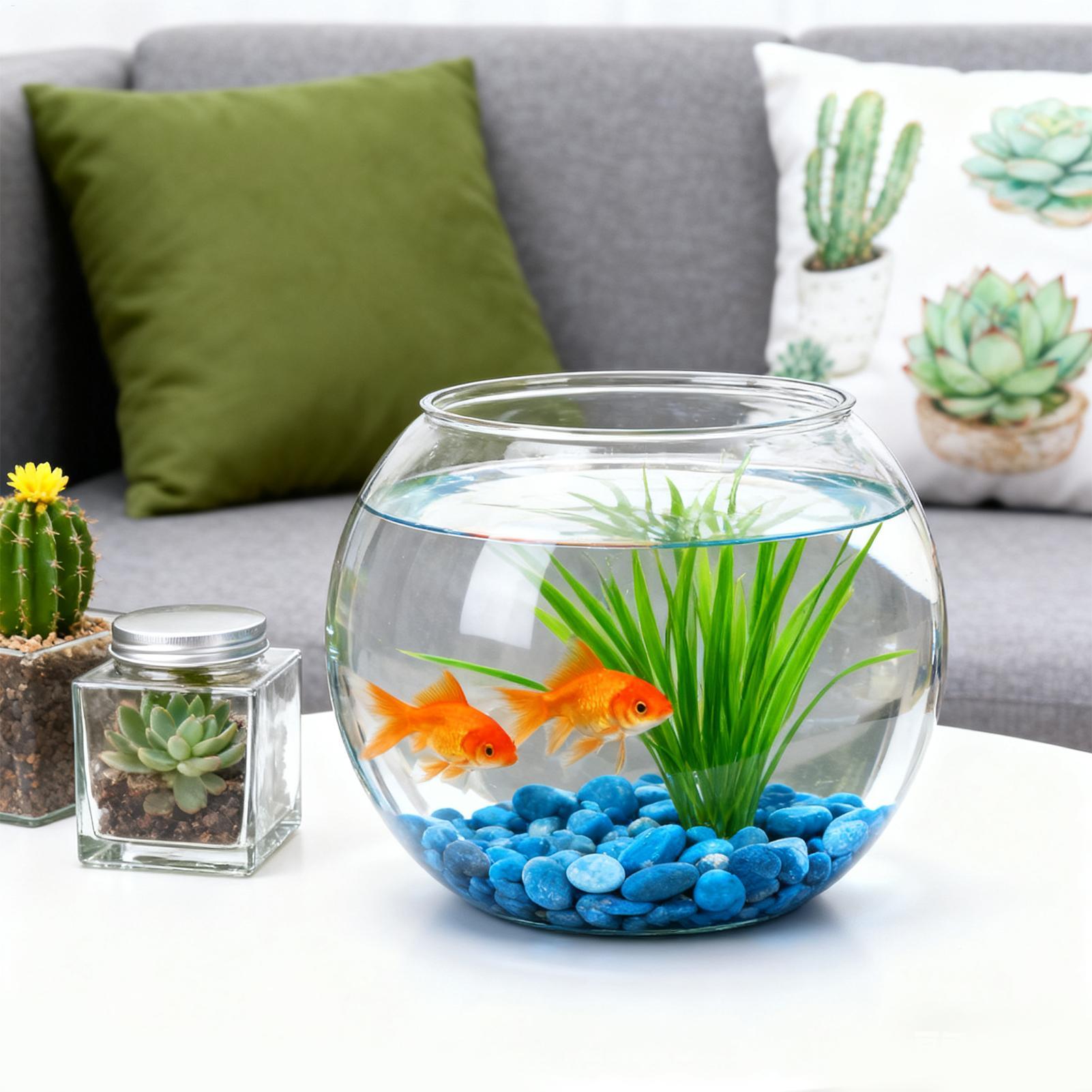 Bubble Bowl Space-Saving Aquar - Marine Aquarium Aquascape avis et prix