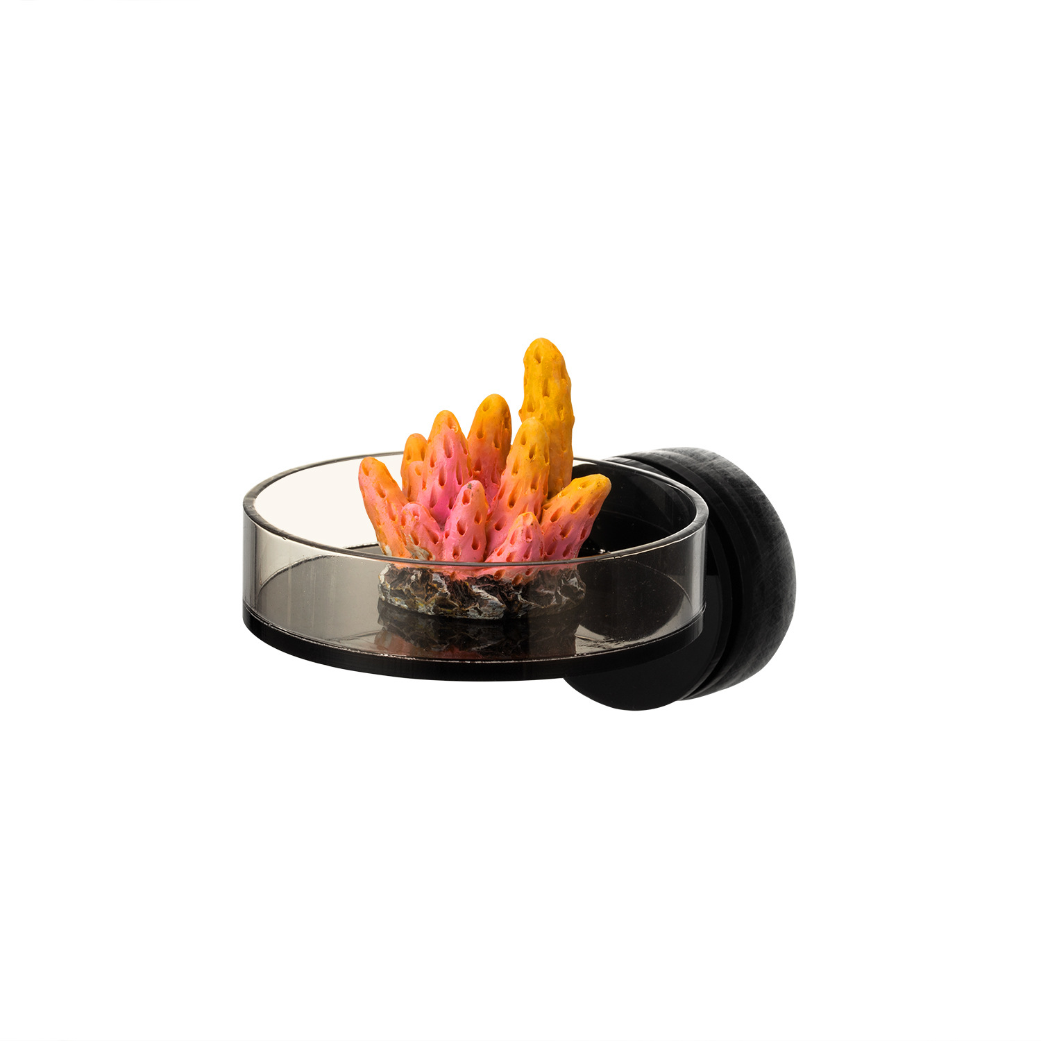 Marine Sources 70mm Black Magn - Aquarium And Marine avis et prix