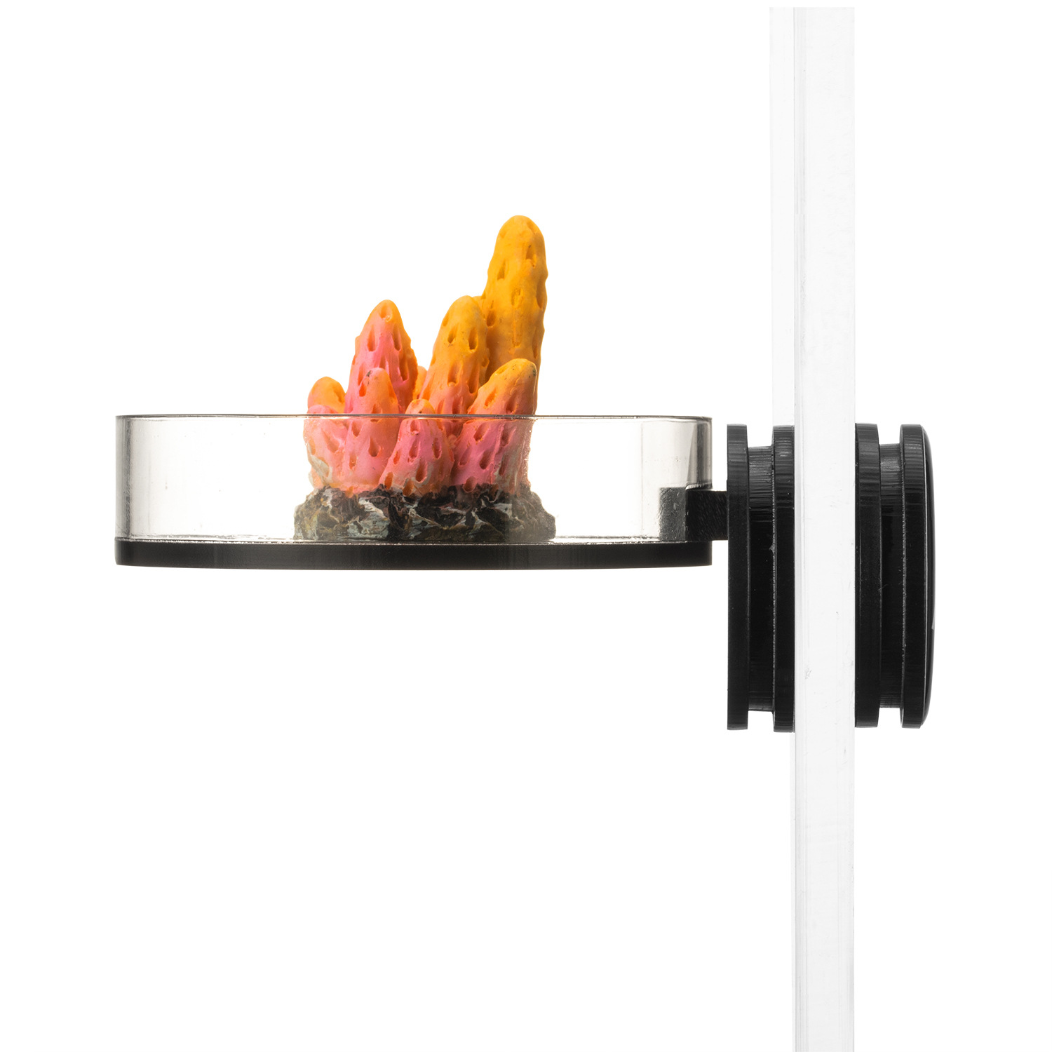 Marine Sources 70mm Black Magn - Aquarium And Marine avis et prix